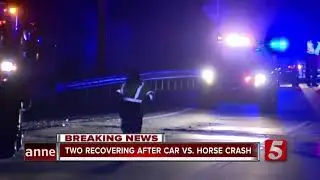 Two women hurt, horses killed in Maury County crash