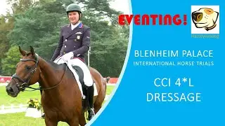 Phillip Dutton and Denim (USA) Blenheim Palace International Horse Trials CCI 4*L Dressage #eventing