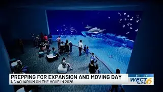 Fort Fisher Aquarium plans $75 million expansion, temporary mall location