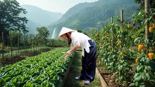 Caring for and Harvesting a Fresh Vegetable Garden and Cooking Delicious Grilled Pork Offal