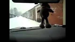 Автосабвуфер Magnat Edition Tube 30 sub 12