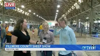 Fillmore County Fair holds sheep show