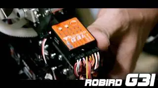 Предварительный обзор бесфлайбарного режима Robird G31