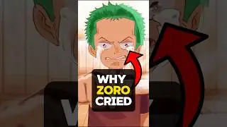 Zoro Cried Three Times In One Piece #oda #onepiece #luffy