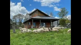 Fat Sheep Farm & Cabins | Cabins in Windsor