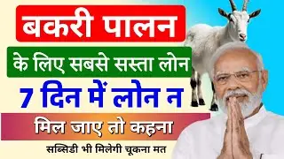 अब बकरी पालन केलिए बैंक से सस्ता और सब्सिडीयुक्त लोन सिर्फ 7 दिन मे मिलेगा| Goat Farming Loan Proces