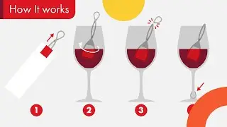 The Wand Review - How to Use The Wand Wine Filter?