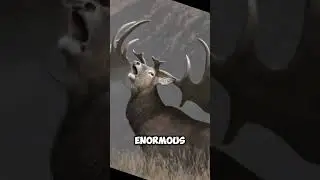🦌 The Giant Deer You Never Knew Existed! 🌿 | Megaloceros, the Prehistoric King!