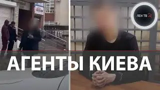 Украинские спецслужбы массово вербуют студентов РФ | Cиловики сорвали теракты Киева к 23 февраля