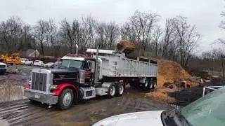 Monster tree service
