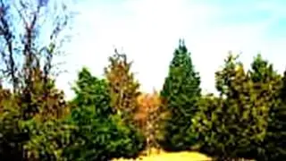 Homes for Sale - Lot 10 Farm Road 69 - Sulphur Springs, TX 75482 - Jana Dodd