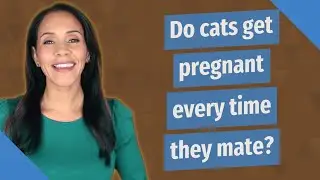 Do cats get pregnant every time they mate?
