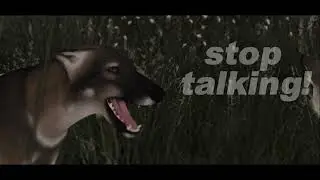 Stop talking!
