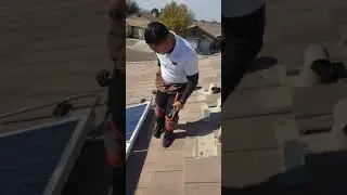 Solar panel wash 🚿 & Bird Proofing 🚫🐦