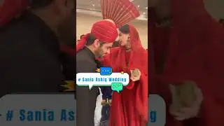 Sania Ashiq Wedding | PMLN Leader Sania Ashiq Wedding Videos