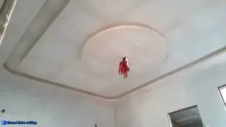 4 Latest simple ceiling design for 2 bedroom, 1 garage & monti