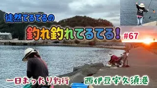 【西伊豆町・釣り】♯67宇久須港☀️1日まったり釣行🎣今回は『夕日がきれいな街〜♬』という曲を思い出すような夕日の美しさでした✨