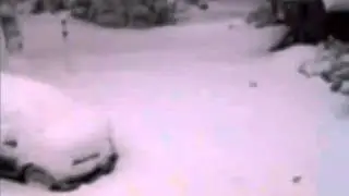 Snowfall 12012011