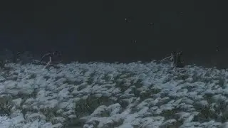 Sekiro: Shadows Die Twice - The Final Boss Phase One
