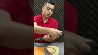 Aprenda a Montar Clarinete: Guia R&aacute;pido e Sem Complica&ccedil;&otilde;es! #shorts