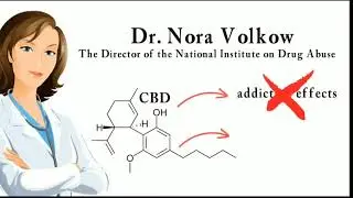 Cbd Oil Nano Patch