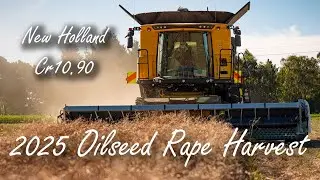 2025 Oilseed Rape harvest with New Holland CR10 90 at Ashburton, New Zealand