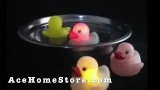 light up bath ducks | light up rubber duckies | light up ducks bath toys |  