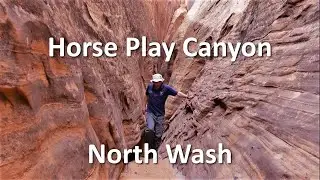 Horse Play Canyon, North Wash, Utah