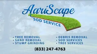 Revitalize Your Landscape: Agriscape Sod's After Storm Cleanup Services From Tampa to Port Charlotte