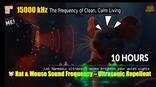 🔊🐀🐭 Rat & Mouse Sound Frequency &ndash; Ultrasonic Repellent Noise | High Frequency Rodent Audio 10 Hours
