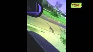 Fail Videos Corvette Showoff Fails