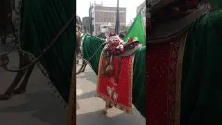 28 Rajab Safar madina imam Hussain madina se karbla juloos e amari amhat Sultanpur #shortsvideo 2025