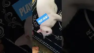 how to get out of a bath Ivory style