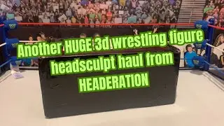 Another HUGE haul of 3D Headsculpts from Headeration! - WWE Action Figure Finds and Unboxings