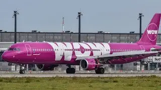 WOW Air ceases all operations, leaving passengers stranded