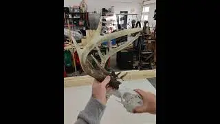 Олень из Айовы с рогами 120 дюймов.