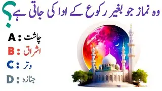 Tricky GK Questions || Mind Challenge In Urdu || General Knowledge || GK SHAKEEL