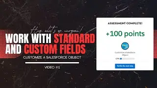 Work with Standard and Custom Fields | Customize a Salesforce Object Project Salesforce Trailhead