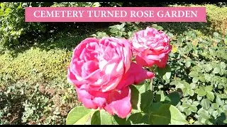 ROSENGARTEN (ROSE GARDEN), BERN, SWITZERLAND