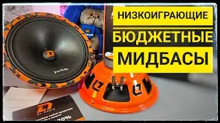 Мощные панчевые новинки DL Audio Barracuda 250 v2