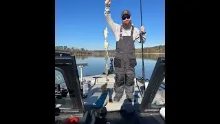 Vertical Fishing Live￼