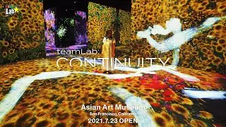 teamLab: Continuity