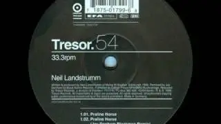 Neil Landstrumm - Praline horse (Jay Denham Blackman remix)
