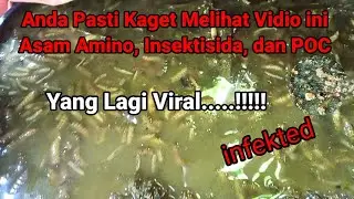 Waow....!!!! SUNGGUH DI LUAR DUGAAN.... Amazing
