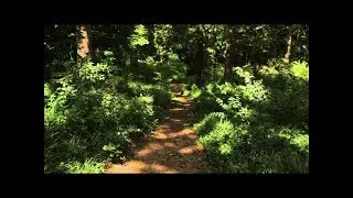 Battlefield Terrain, Stop 10, The Battle of Atlanta: History and Remembrance