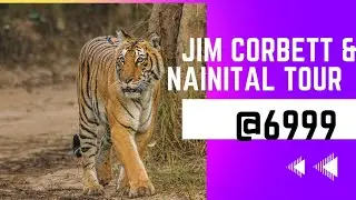 Jim Corbett National park Corporate Event Tour | HOW TO Book CORBETT Tour Starts @7500)- #travel