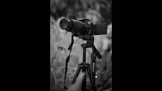 PHOTOGRAPHY LOVER STATUS || FULL SCREEN STATUS VIDEO|| 4K || DC STATUS || NIKON