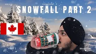 🥶Сильный снегопад, часть 2🥶 | #puadhvlogger | #brampton | #canada