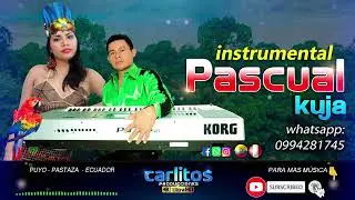 PASCUAL KUJA MUSICA INSTRUMENTAL (VOL. 0. 2010)