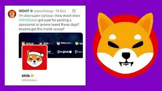 कुछ बड़ा होने जा रहा इस क्रिप्टो मार्केट में shiba inu , floki inu को लेकर|shiba inu coin news today